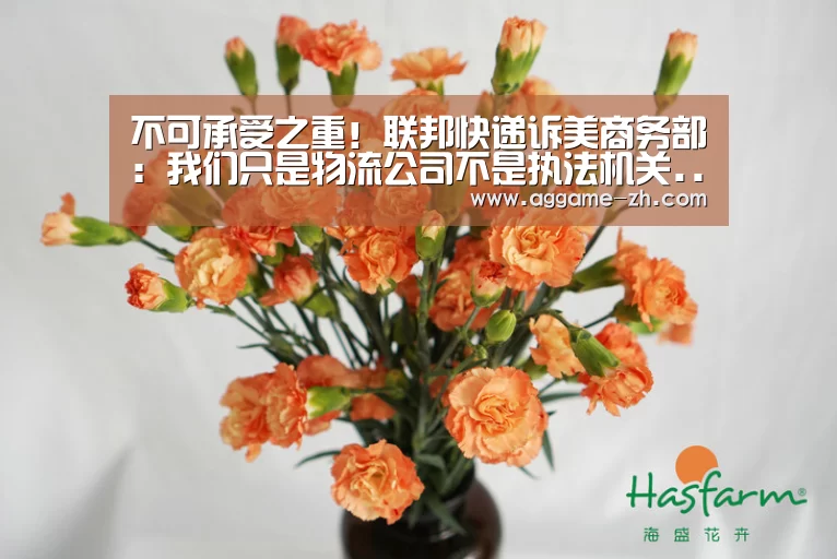 不可承受之重!联邦快递诉美商务部:我们只是物流公司不是执法机关...-AG电竞(图2) AG地址