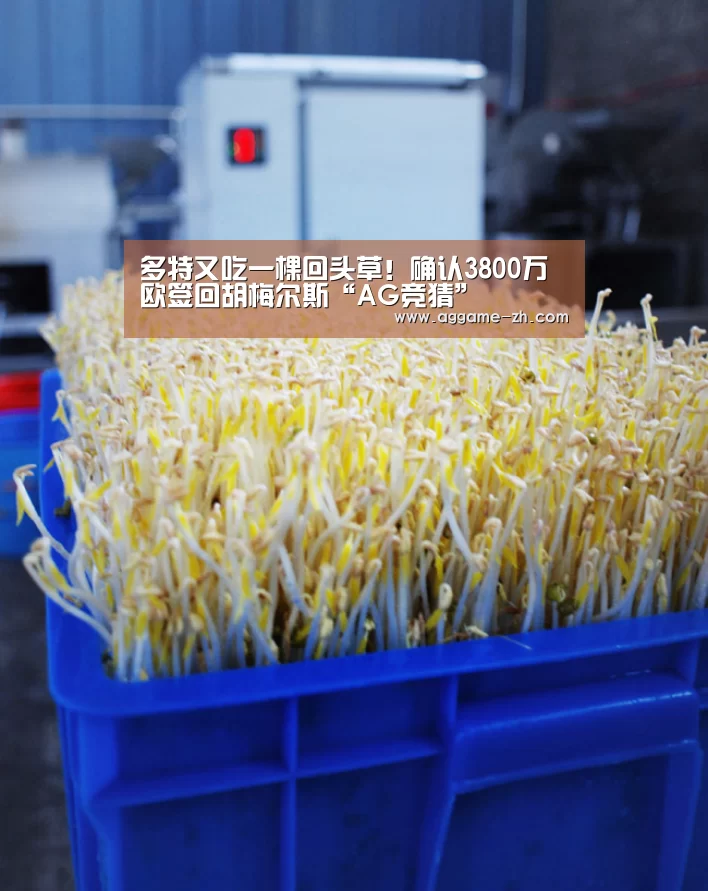 多特又吃一棵回头草!确认3800万欧签回胡梅尔斯“AG竞猜”(图1) AG电竞