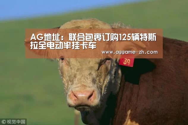 AG电竞