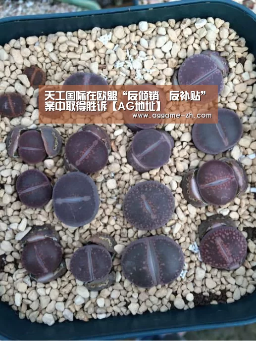 天工国际在欧盟“反倾销丶反补贴”案中取得胜诉【AG地址】(图1) AG视讯