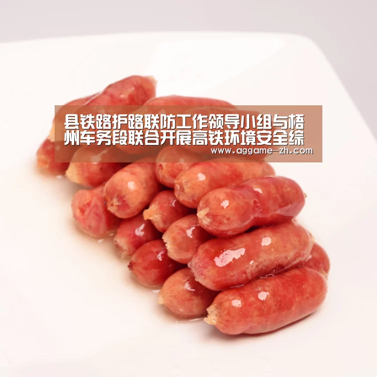 县铁路护路联防工作领导小组与梧州车务段联合开展高铁环境安全综合治理工作‘AG地址’(图2) AG视讯