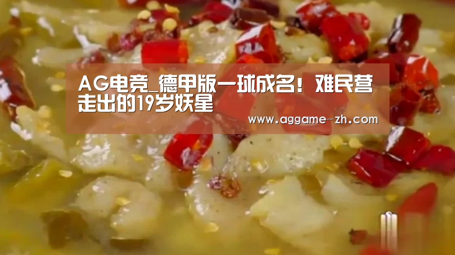 AG电竞_德甲版一球成名!难民营走出的19岁妖星(图1) AG视讯