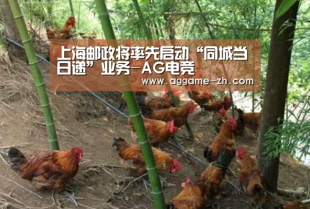 上海邮政将率先启动“同城当日递”业务-AG电竞(图4) AG地址