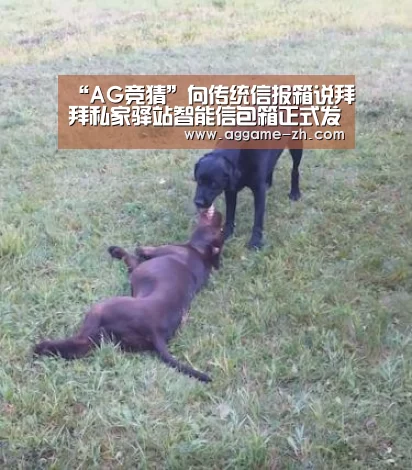 “AG竞猜”向传统信报箱说拜拜私家驿站智能信包箱正式发布!(图1) AG视讯
