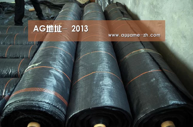 AG地址-
2013(图12) AG地址