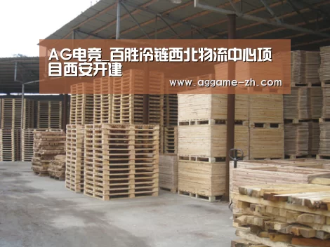 AG电竞_百胜冷链西北物流中心项目西安开建(图4) AG电竞